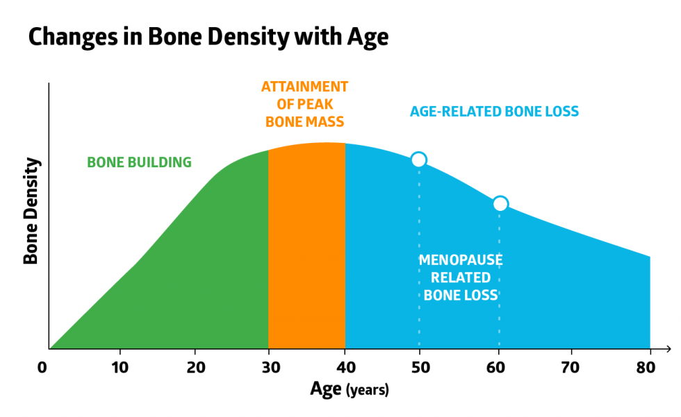 Changes in Bone Density with Age graph