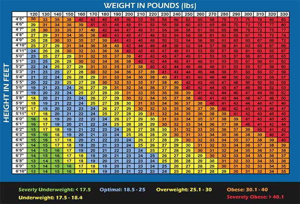 height and weight graph for the human body