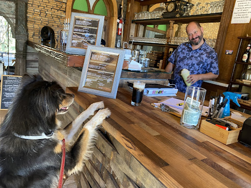dog at coffee shop