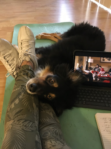 stretching with dog